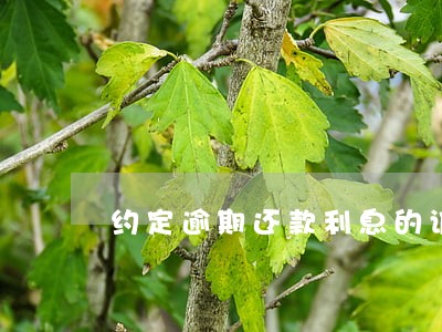 约定逾期还款利息的诉讼时效 约定逾期还款利息的诉讼时效