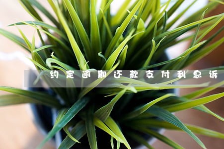 约定逾期还款支付利息诉讼时效 约定逾期还款支付利息诉讼时效