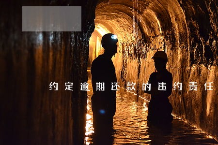 约定逾期还款的违约责任 约定逾期还款的违约责任