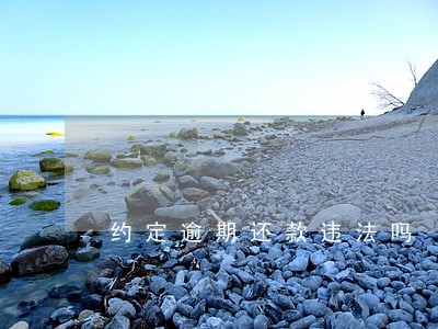 约定逾期还款违法吗