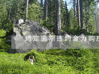 约定逾期违约金为购房款 约定逾期违约金为购房款
