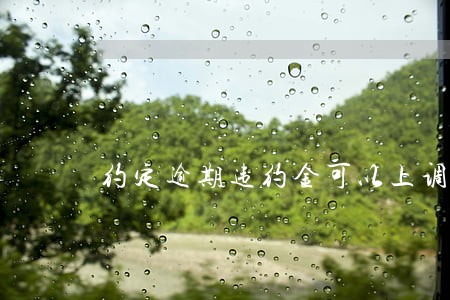 约定逾期违约金可以上调吗 约定逾期违约金可以上调吗