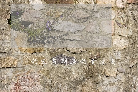约定逾期违约金过高 约定逾期违约金过高