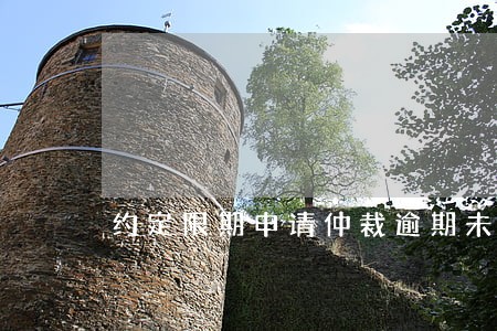 约定限期申请仲裁逾期未申请 约定限期申请仲裁逾期未申请