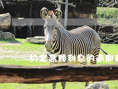 约定高额利息的逾期利息计算 约定高额利息的逾期利息计算
