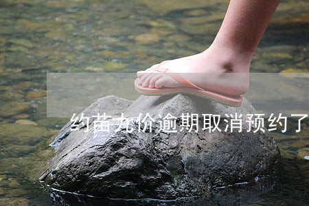 约苗九价逾期取消预约了 约苗九价逾期取消预约了