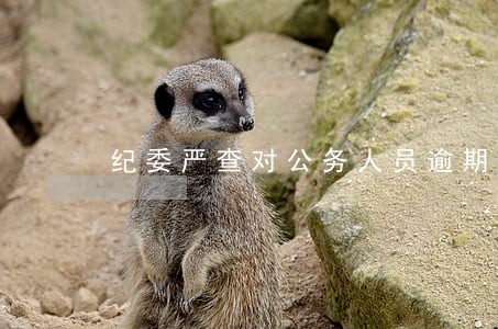 纪委严查对公务人员逾期欠款 纪委严查对公务人员逾期欠款