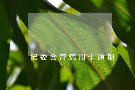 纪委会管信用卡逾期