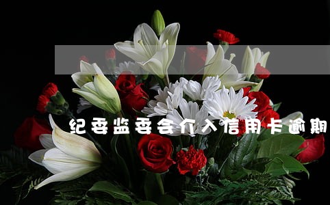 纪委监委会介入信用卡逾期吗 纪委监委会介入信用卡逾期吗