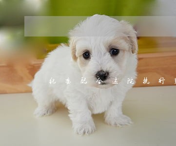 纪委配合法院执行难