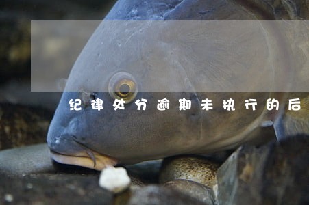 纪律处分逾期未执行的后果 纪律处分逾期未执行的后果