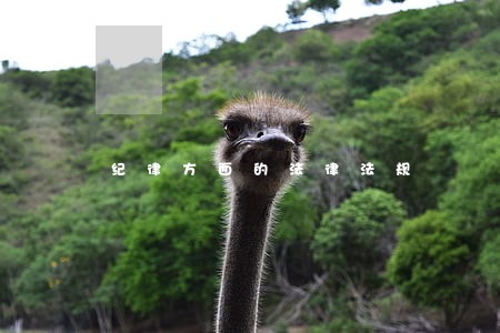 纪律方面的法律法规
