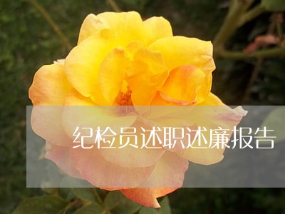 纪检员述职述廉报告 纪检员述职述廉报告