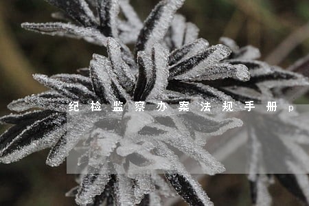 纪检监察办案法规手册pdf 纪检监察办案法规手册pdf