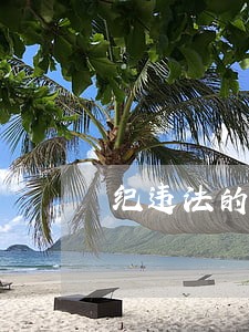 纪违法的四种形态 纪违法的四种形态