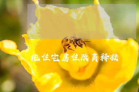 纯住宅房住改商释凝 纯住宅房住改商释凝