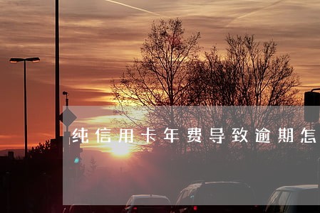 纯信用卡年费导致逾期怎么办