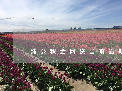 纯公积金网贷当前逾期 纯公积金网贷当前逾期