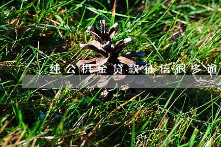 纯公积金贷款征信很多逾期 纯公积金贷款征信很多逾期