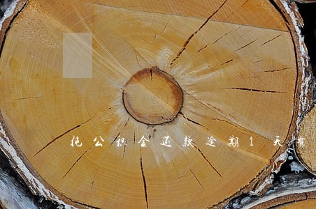 纯公积金还款逾期1天有什么影响 纯公积金还款逾期1天有什么影响