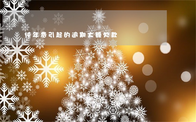 纯年费引起的逾期大额欠款 纯年费引起的逾期大额欠款