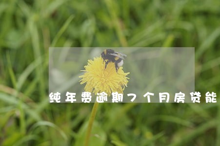 纯年费逾期7个月房贷能办么 纯年费逾期7个月房贷能办么