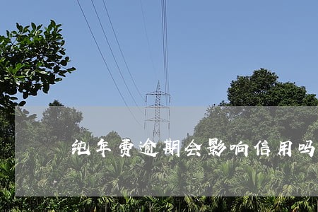 纯年费逾期会影响信用吗 纯年费逾期会影响信用吗