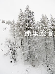 纯年费逾期怎么消除征信 纯年费逾期怎么消除征信