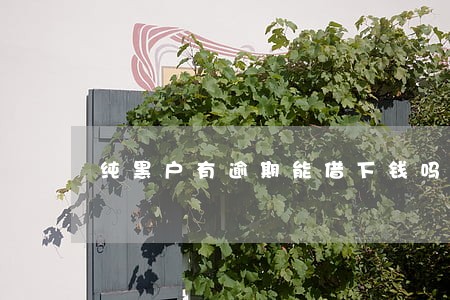 纯黑户有逾期能借下钱吗 纯黑户有逾期能借下钱吗