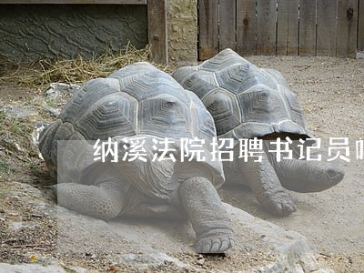 纳溪法院招聘书记员吗