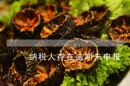 纳税人存在逾期未申报 纳税人存在逾期未申报