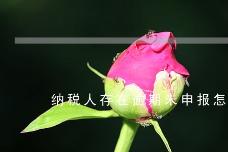纳税人存在逾期未申报怎么处理 纳税人存在逾期未申报怎么处理