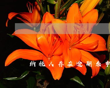 纳税人存在逾期未申报记录 纳税人存在逾期未申报记录