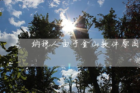 纳税人由于金山软件原因逾期申报 纳税人由于金山软件原因逾期申报