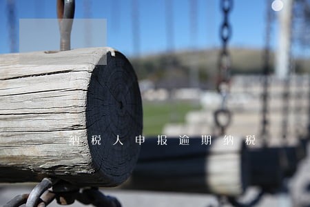 纳税人申报逾期纳税 纳税人申报逾期纳税