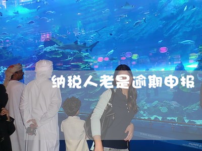 纳税人老是逾期申报