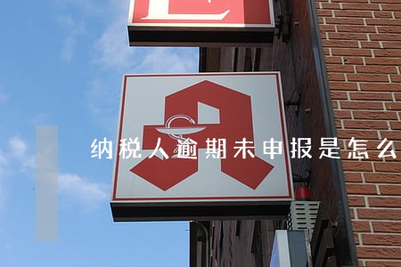 纳税人逾期未申报是怎么回事