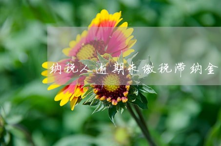 纳税人逾期未缴税滞纳金 纳税人逾期未缴税滞纳金