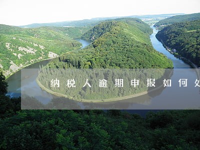 纳税人逾期申报如何处理