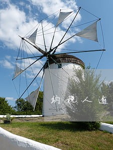 纳税人逾期申报报告模板 纳税人逾期申报报告模板