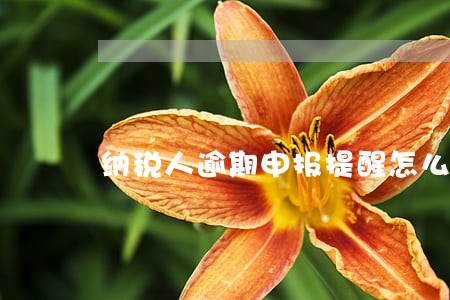 纳税人逾期申报提醒怎么发
