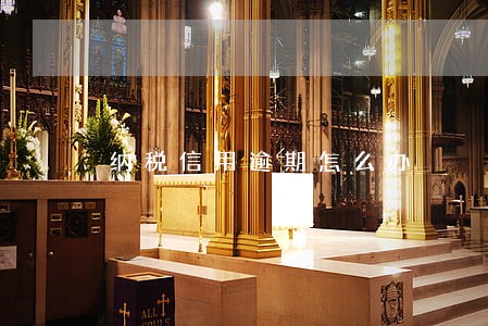 纳税信用逾期怎么办 纳税信用逾期怎么办