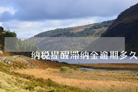 纳税提醒滞纳金逾期多久影响信用 纳税提醒滞纳金逾期多久影响信用