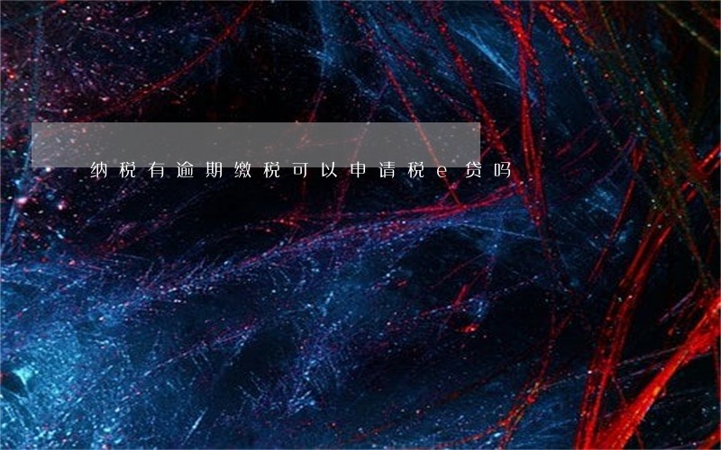 纳税有逾期缴税可以申请税e贷吗 纳税有逾期缴税可以申请税e贷吗