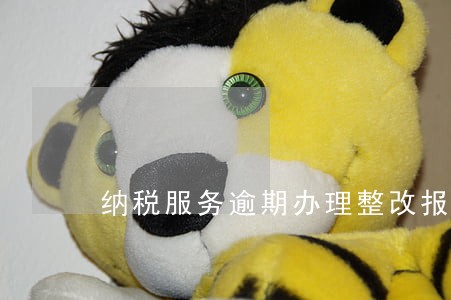 纳税服务逾期办理整改报告 纳税服务逾期办理整改报告