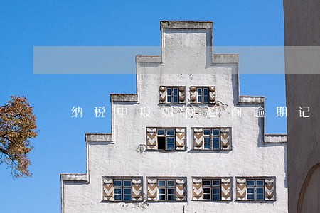 纳税申报如何查询逾期记录 纳税申报如何查询逾期记录