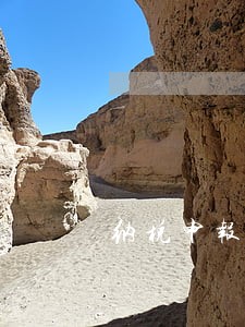 纳税申报期逾期 纳税申报期逾期