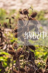 纳税申报第一次逾期 纳税申报第一次逾期