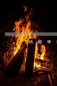 纳税申报表逾期提示 纳税申报表逾期提示