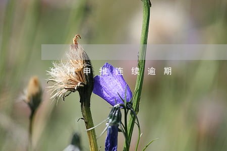 纳税申报连续逾期 纳税申报连续逾期